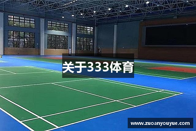 关于333体育